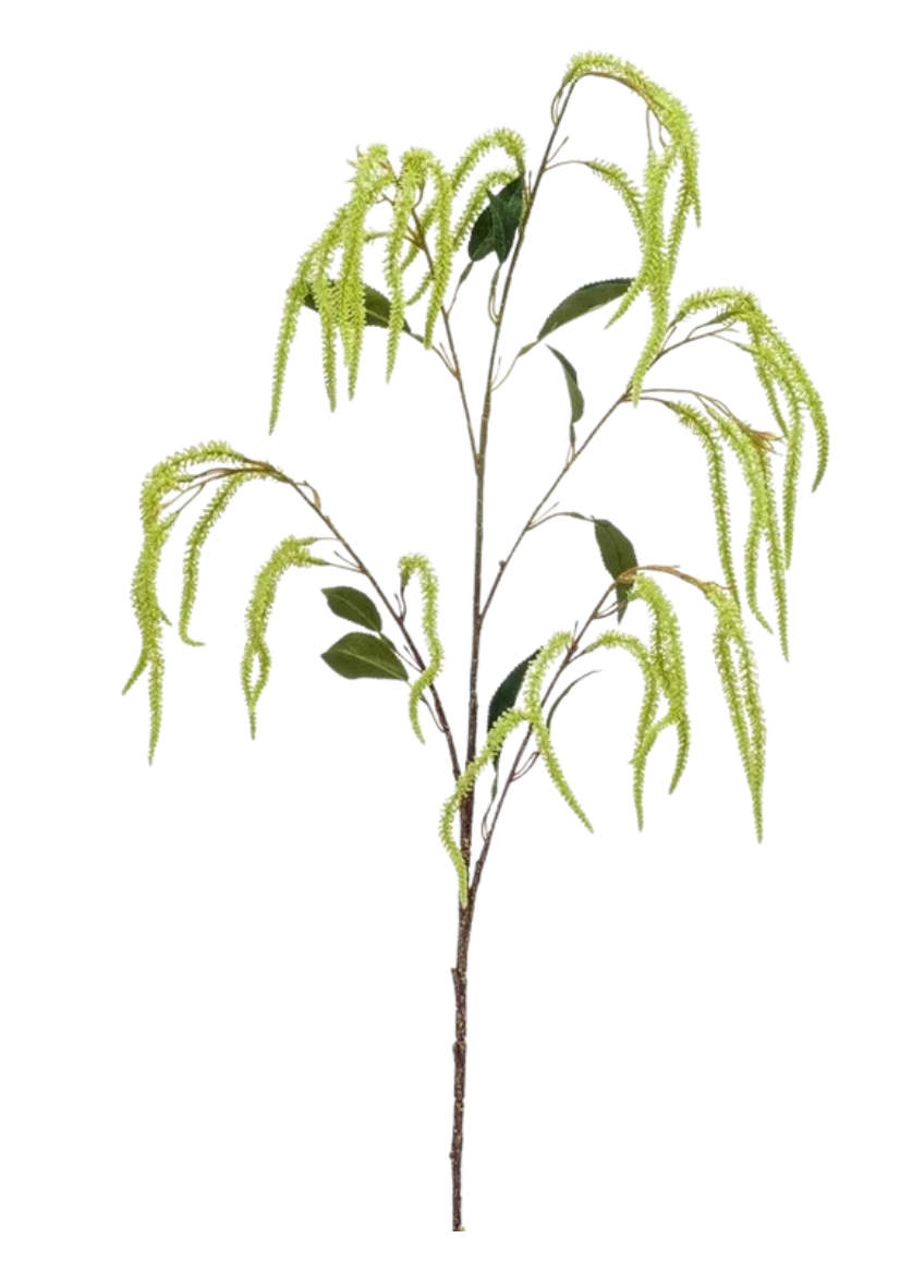 Amaranthus Emeraude