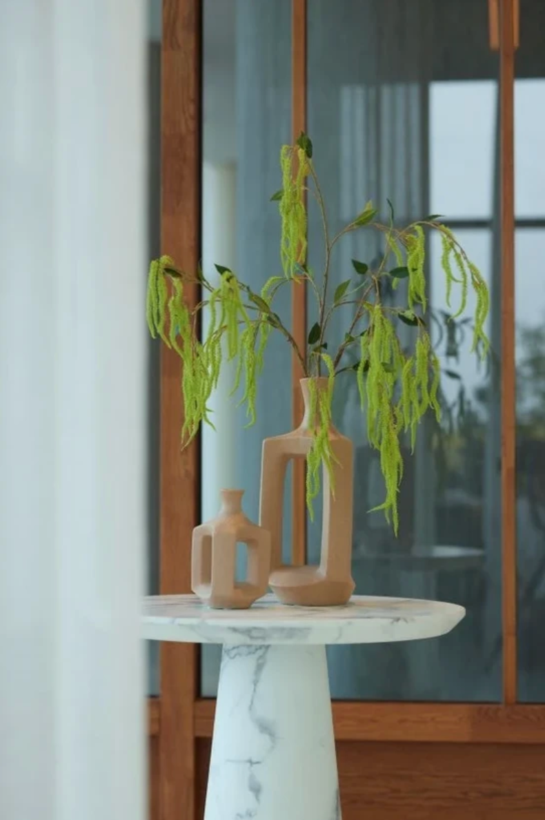 Amaranthus Émeraude